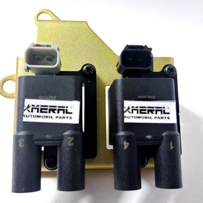 کوئل (کویل) دوقلو زیمنس با پایه پیم دار و بدون پیم مرال MERAL - تصویر 4