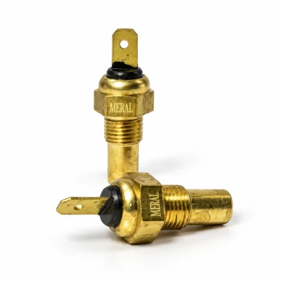 فشنگی آب حرارتی سرتخت پراید (مهره حرارتی انژکتور) مرال MERAL